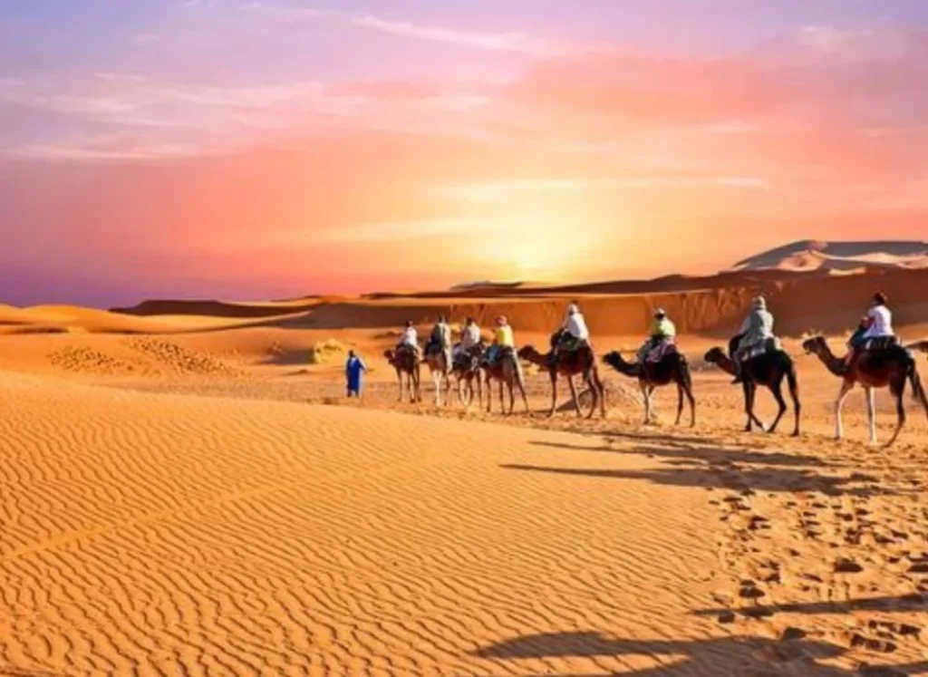 La découverte de désert